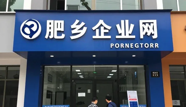 b2c商城如何通过工商查询服务提升用户体验